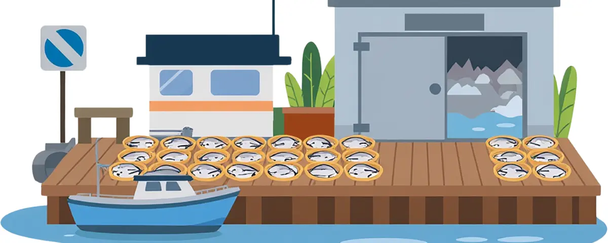 Свежая рыба – богатый источник омега-3 и белка