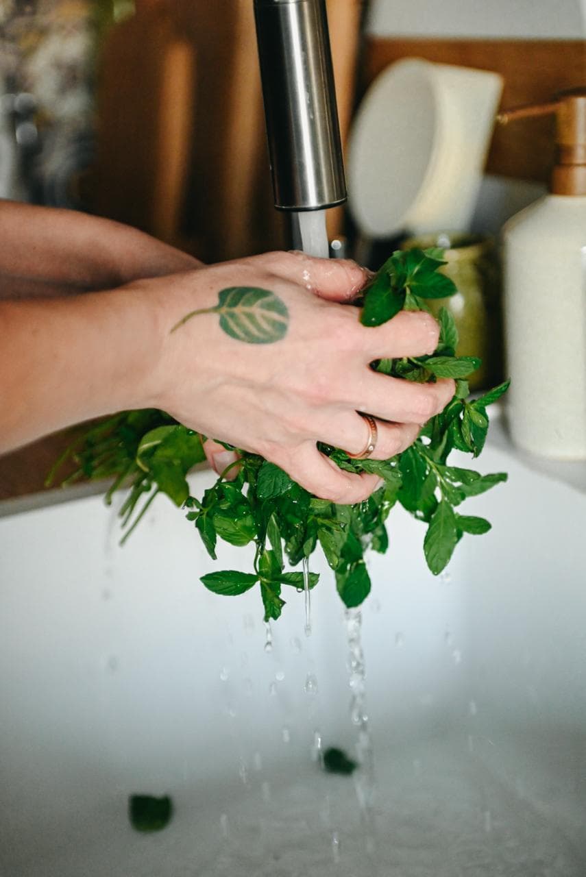 Новые привычки